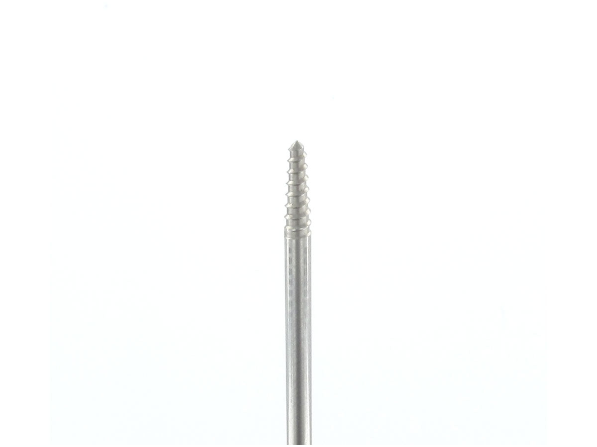 06 040 000 mandrel made of stainless steel screw head ANTILOPE® (10 pieces)