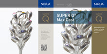 Load the image into the gallery viewer, 13 00 investment material SUPER Q®